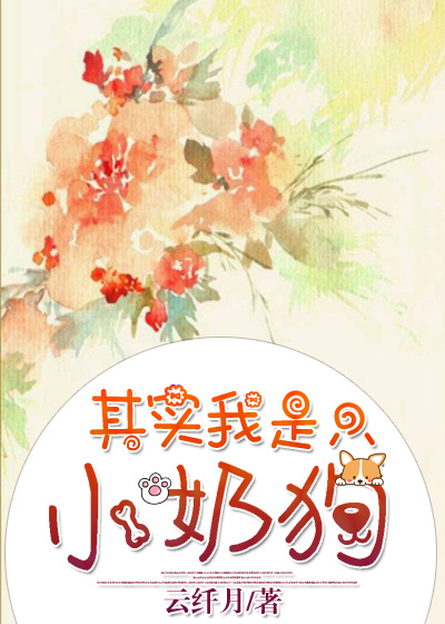 ��ʵ����ֻС�̹��պ����